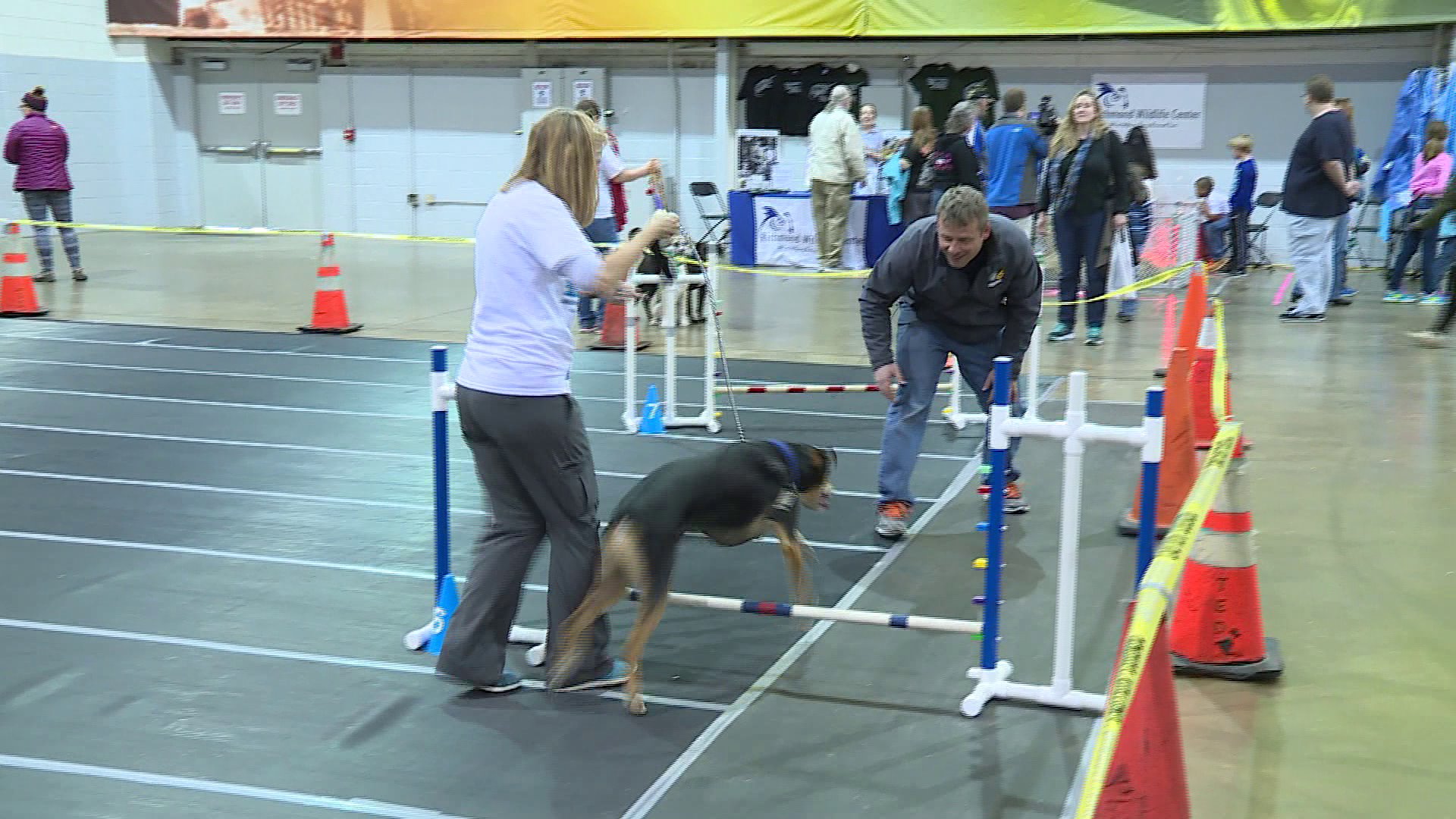 Henrico Humane Society's Pet Expo is Saturday - Vimarsana News