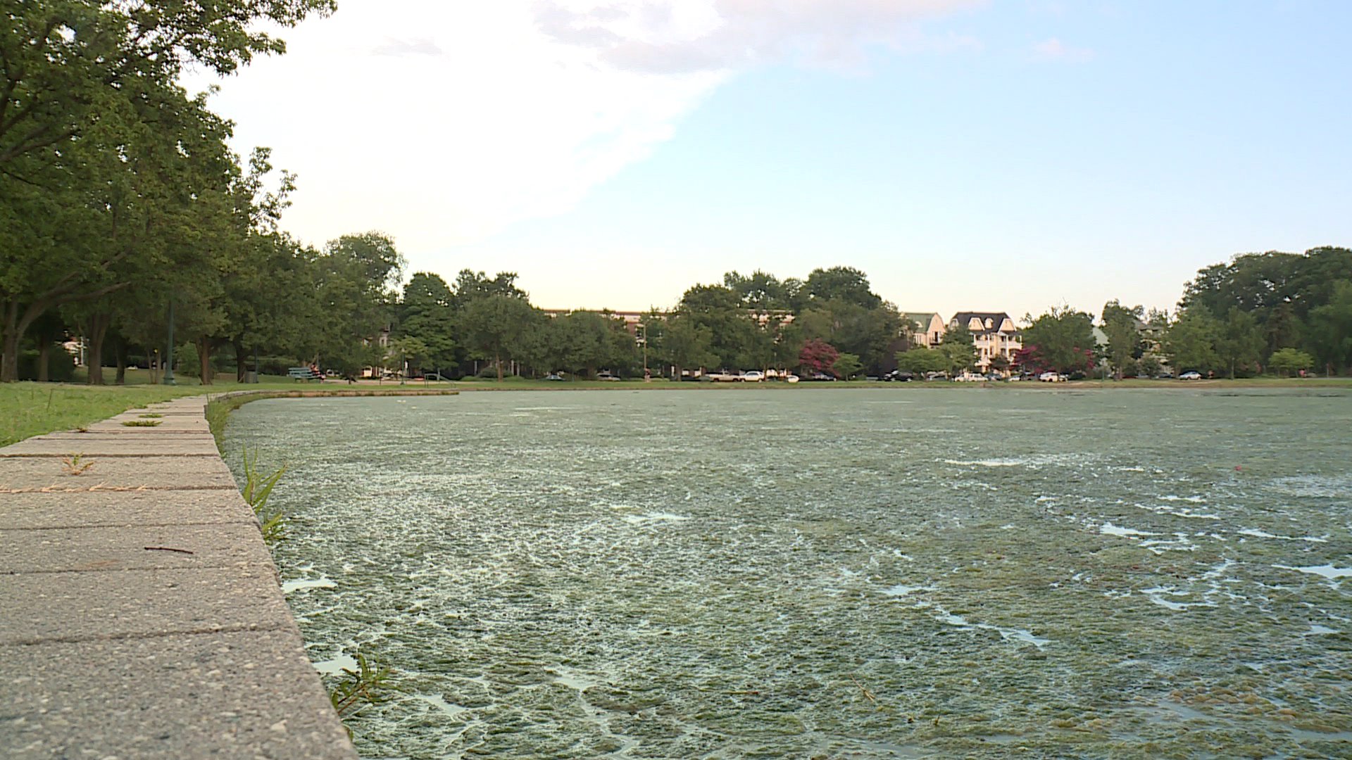 Fountain Lake at Byrd Park treated after smelly algae problem