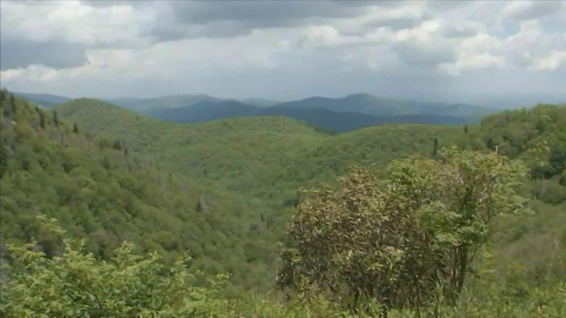 Blue Ridge Parkway overlook
