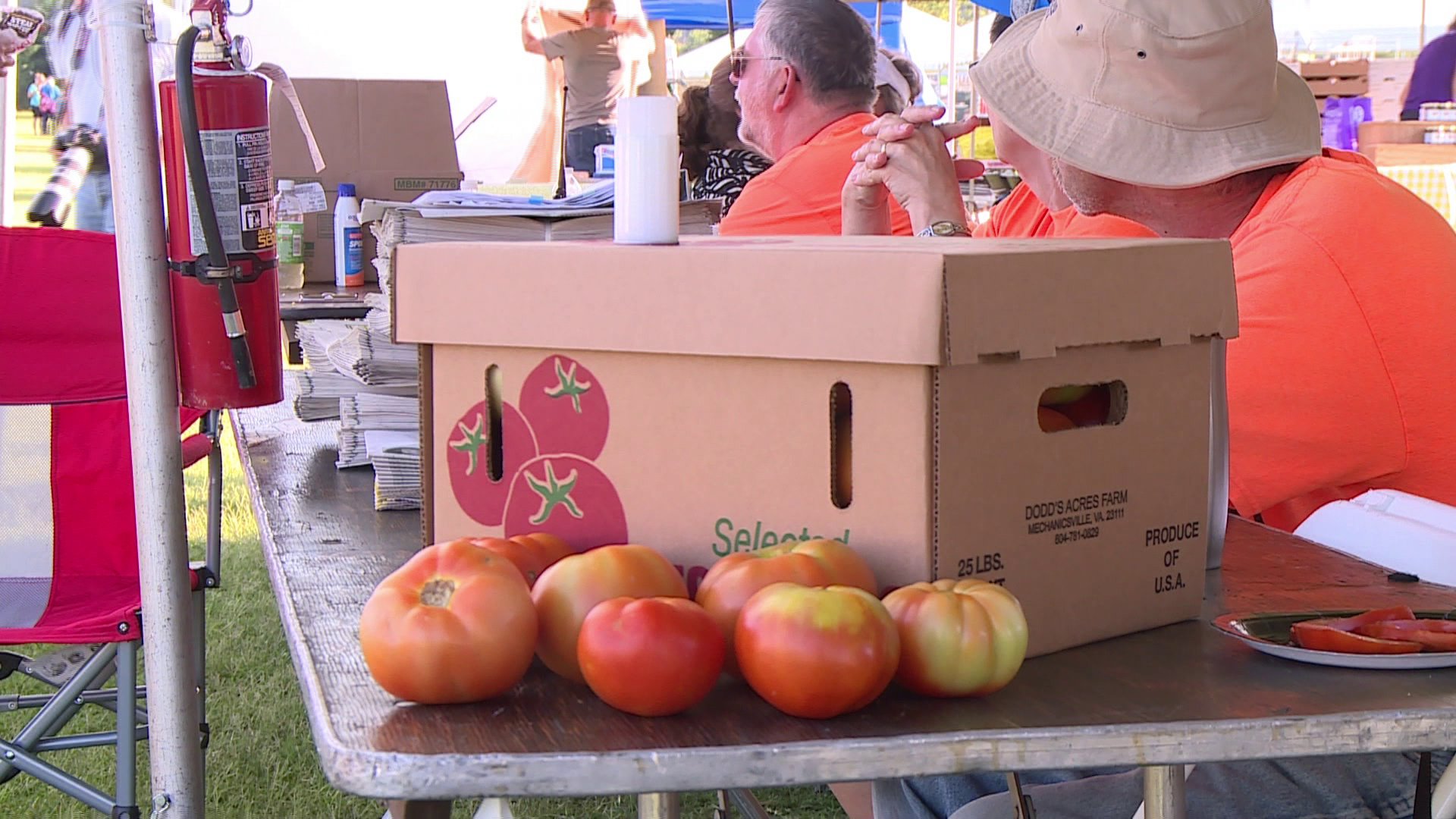 🍅Festival celebrates Hanover tomato’s ‘wonderful flavor’