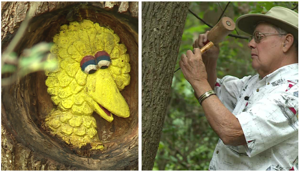 Warsaw woodworker creates intricate carvings and enchanted forests